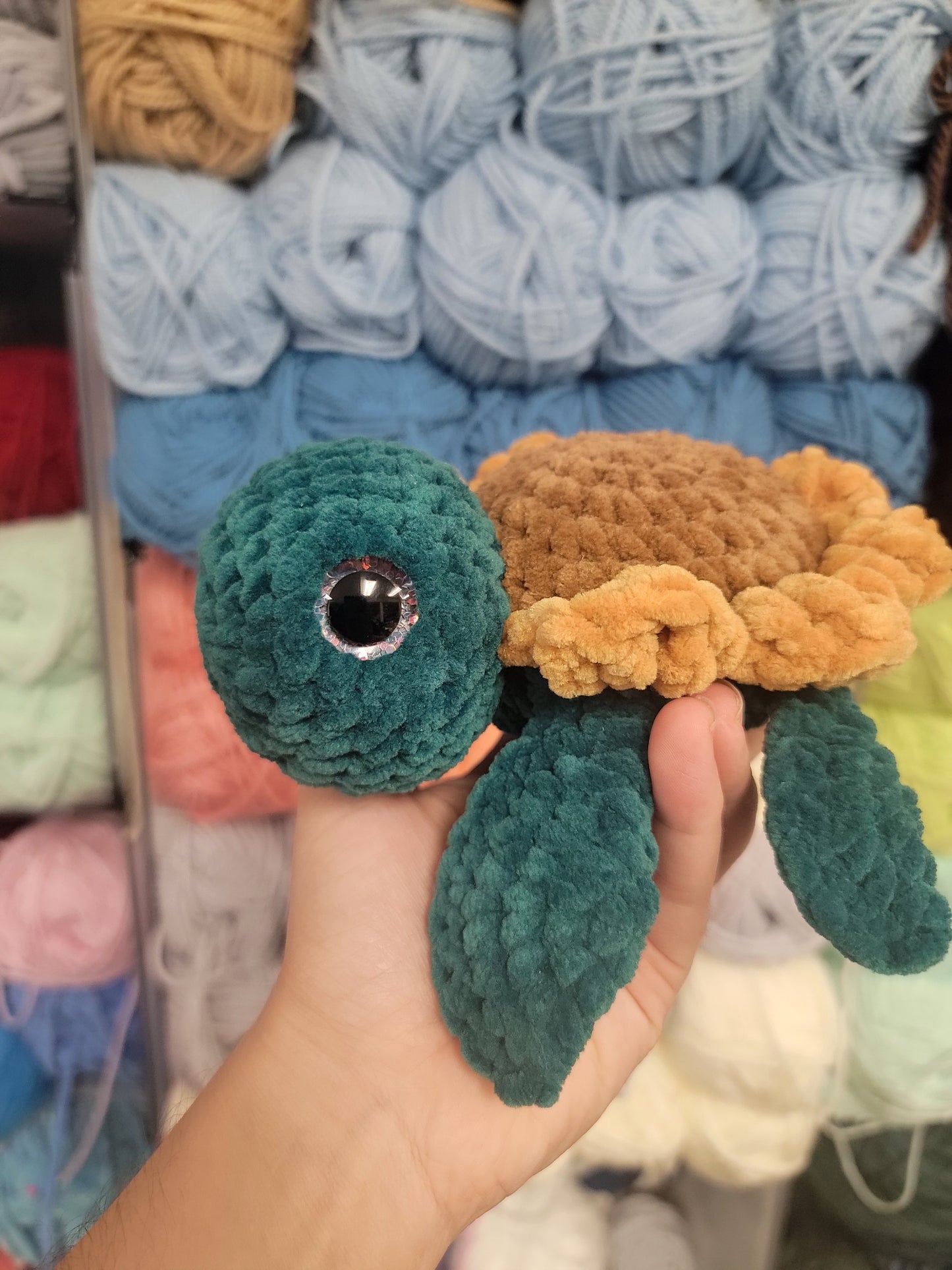 Sunflower Turtle