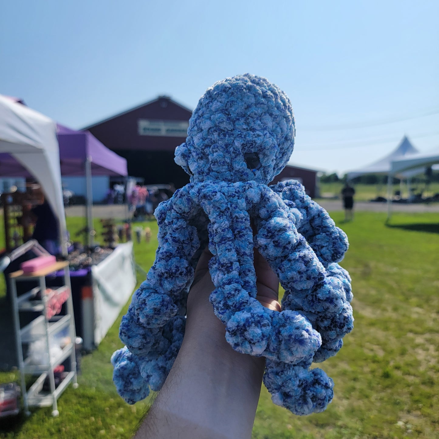 Paul the octopus