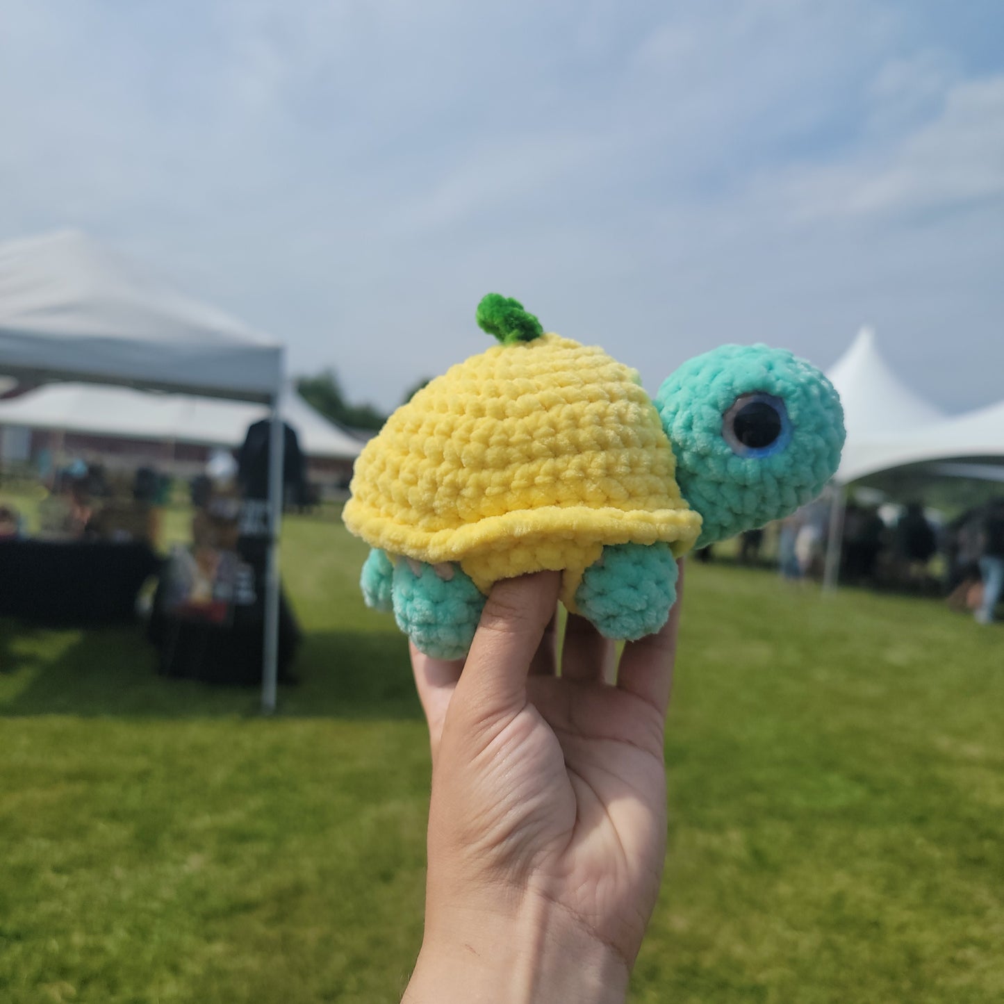 Dress up turtle