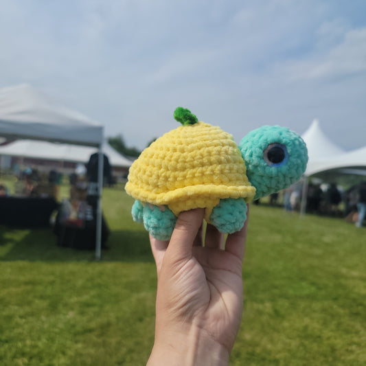 Dress up turtle