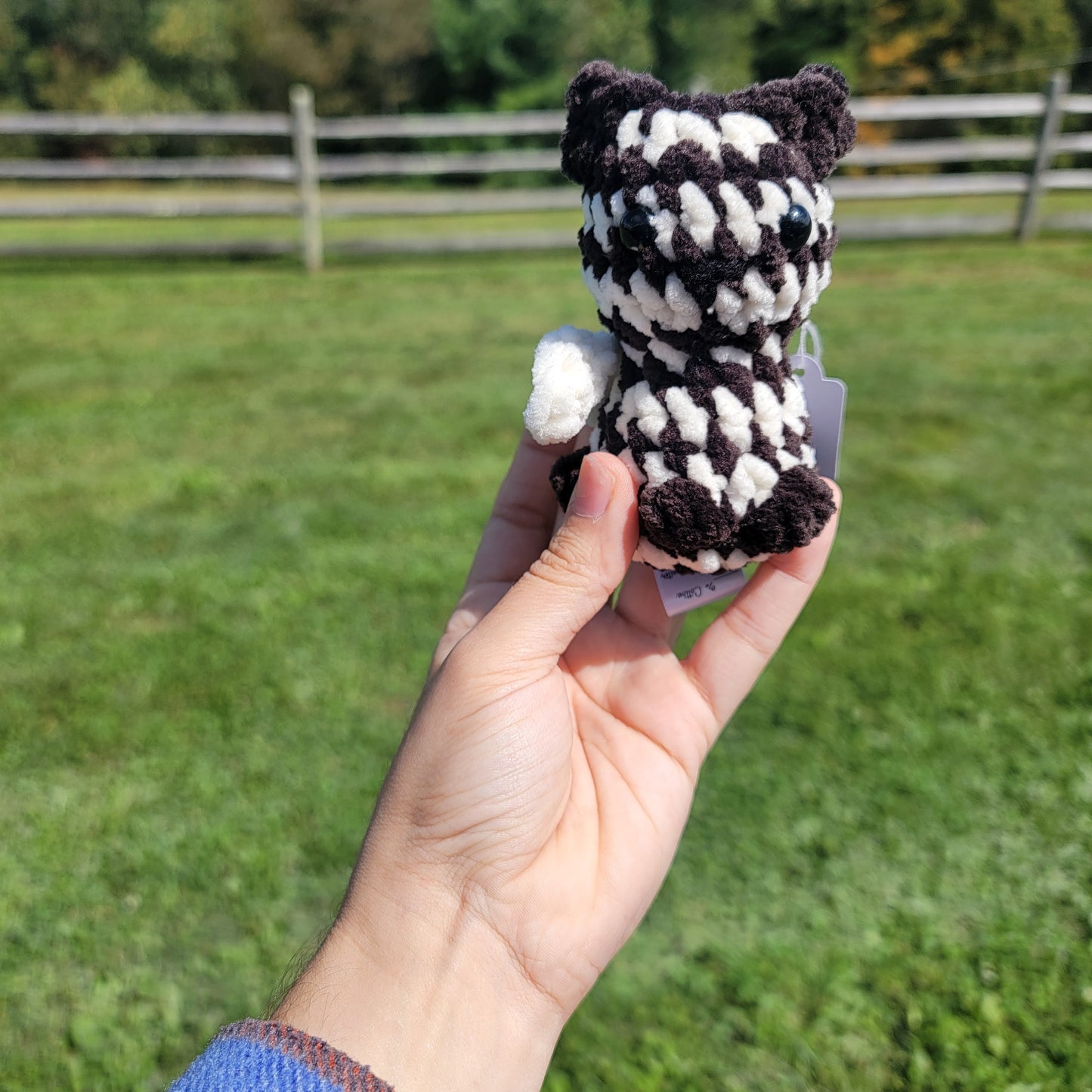 Mini Kitty