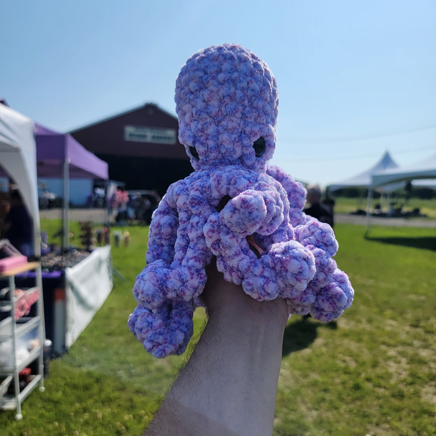 Paul the octopus