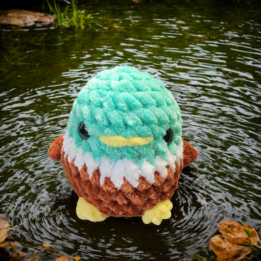 Dress up Mallard Duck