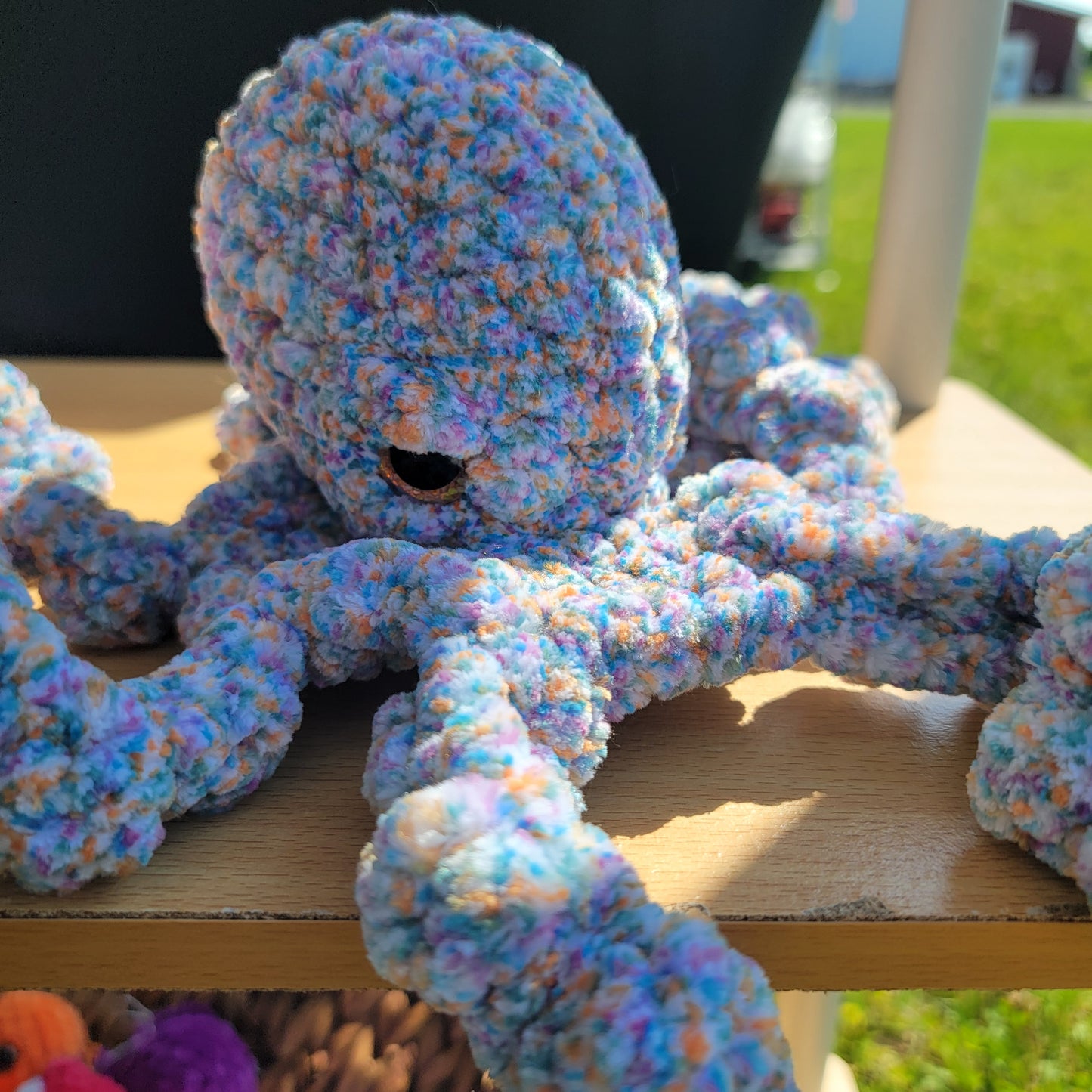 Paul the octopus