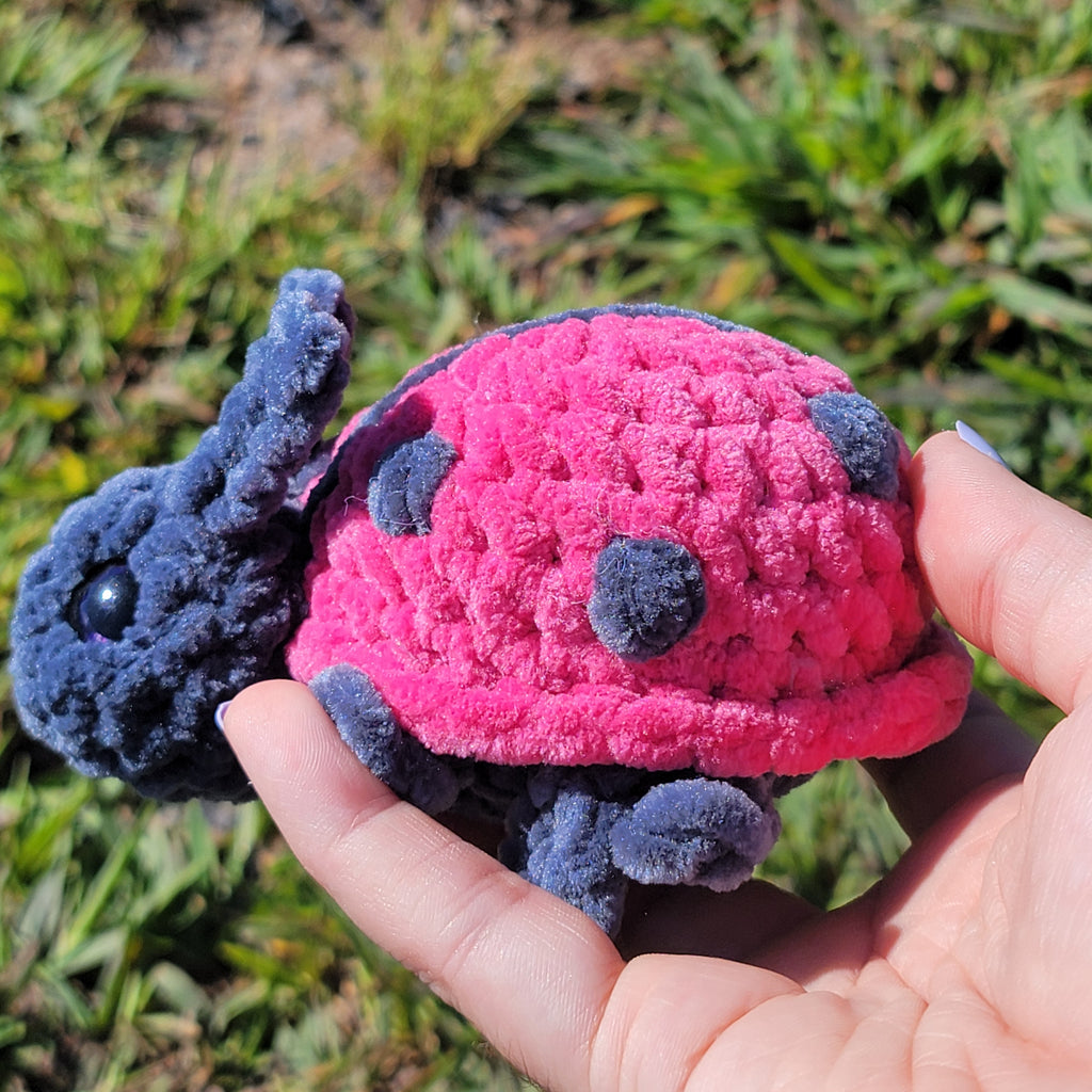 Ladybug