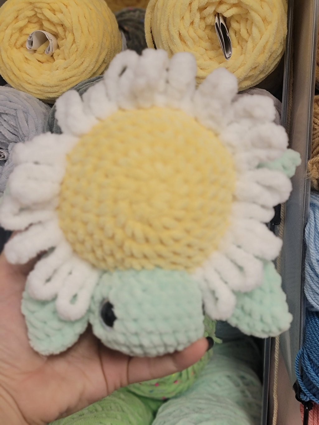 White Daisy Turtle