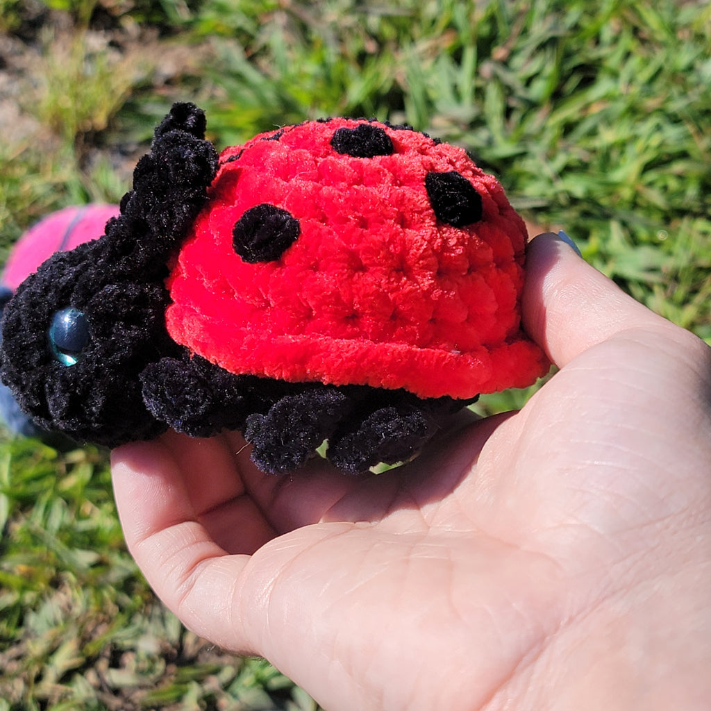Ladybug