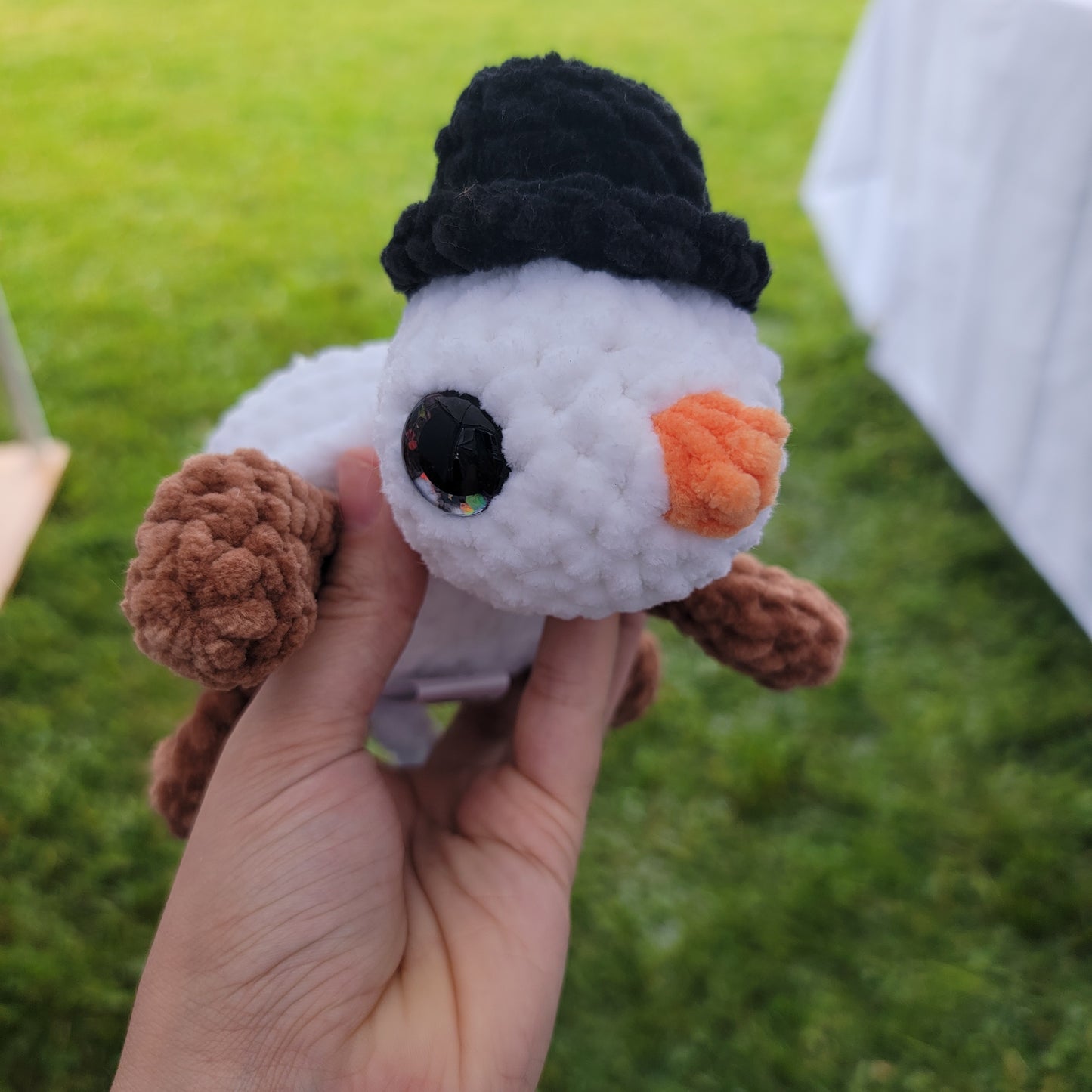 Snowman Turtle