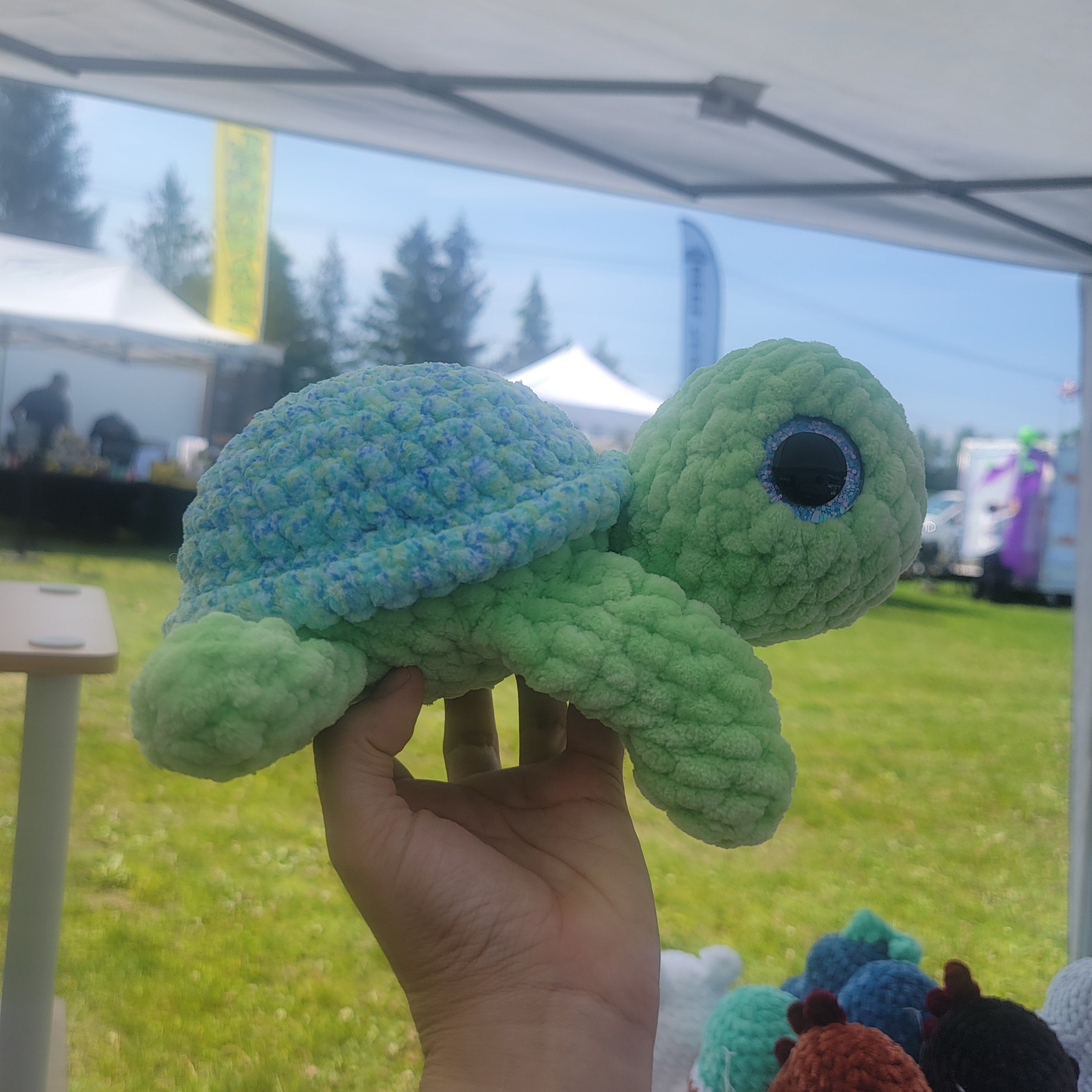Large Turtle