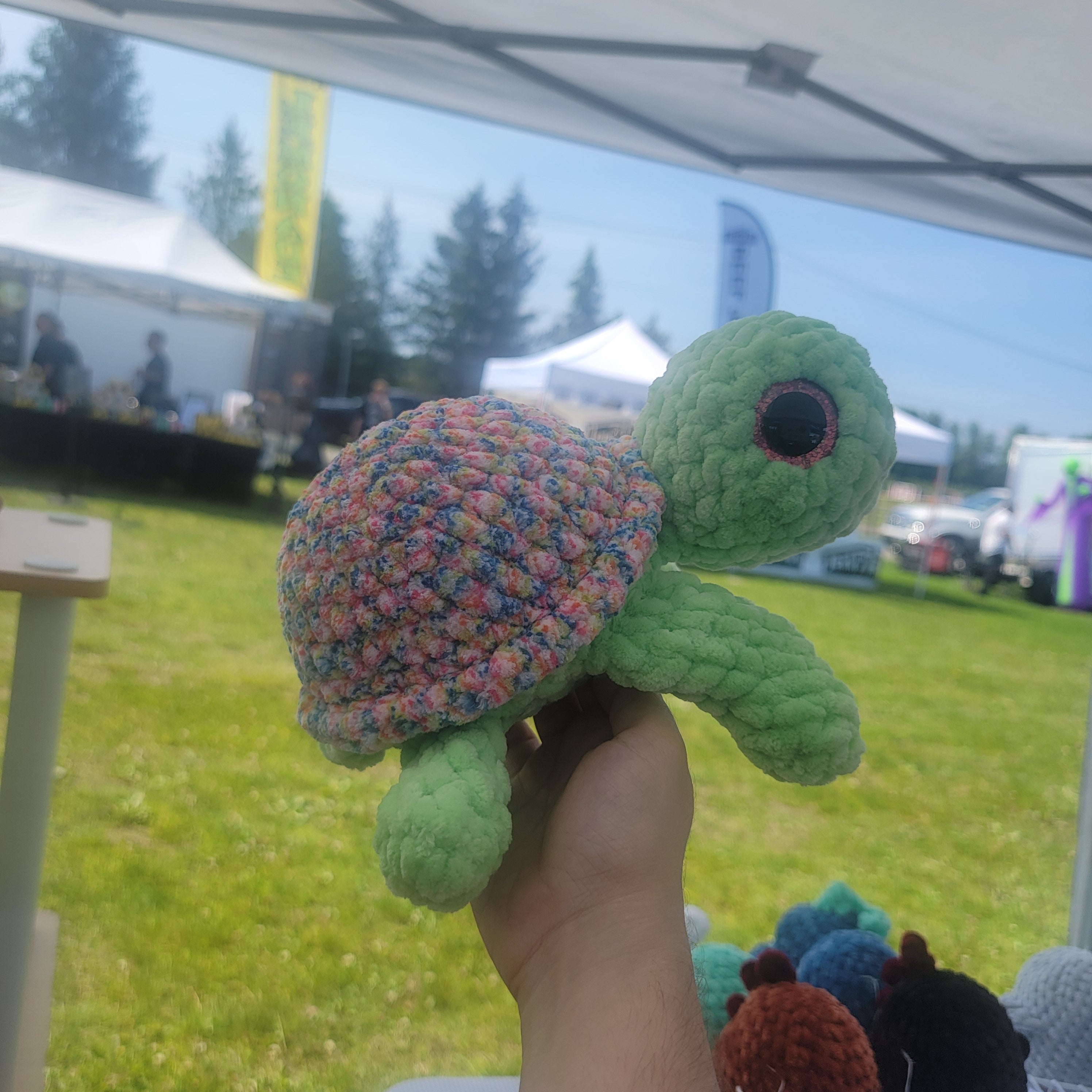 Large Turtle