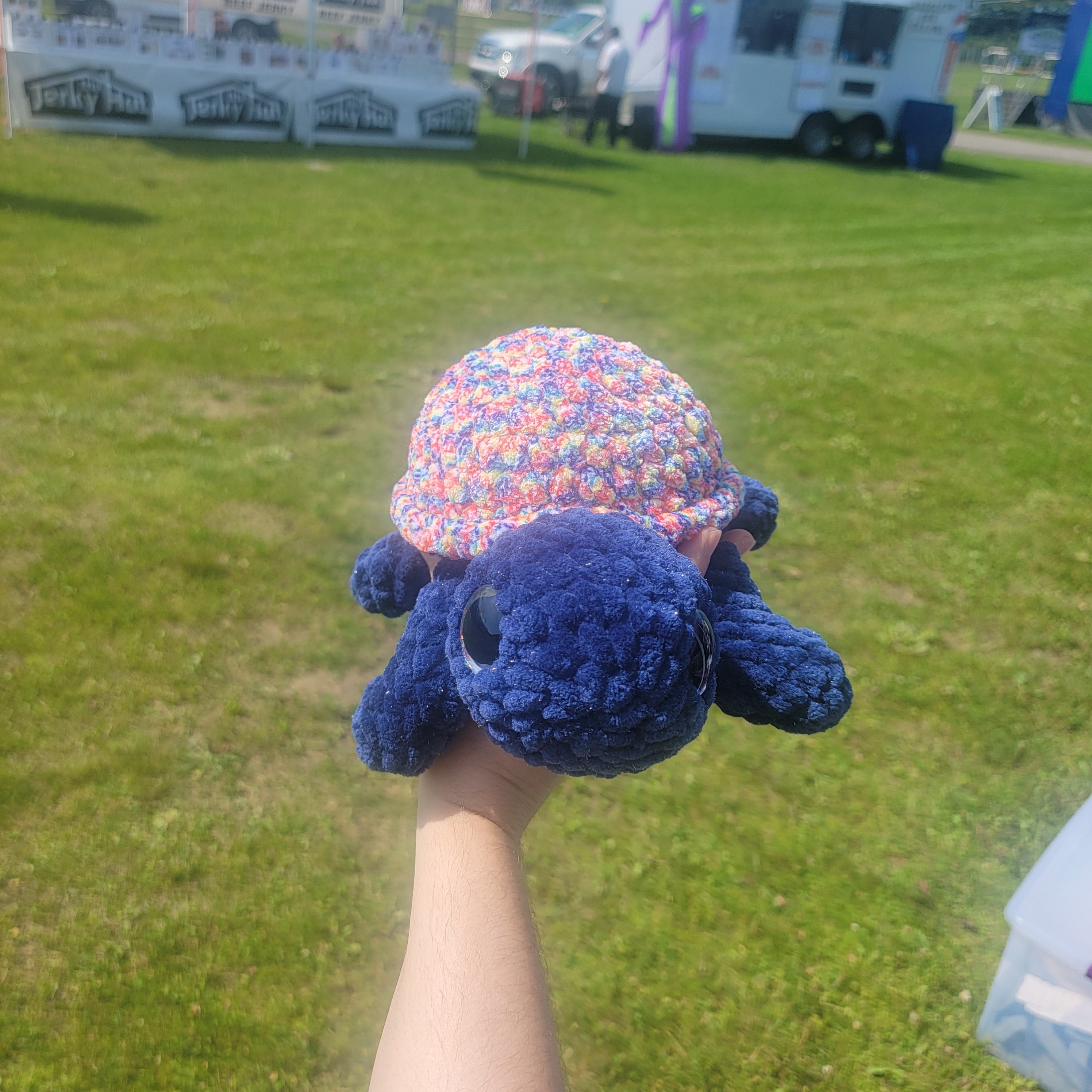 Large Turtle