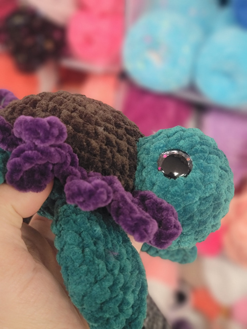 Purple Daisy Turtle