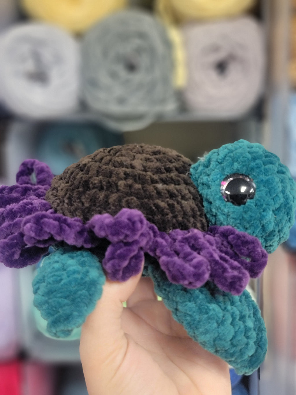 Purple Daisy Turtle