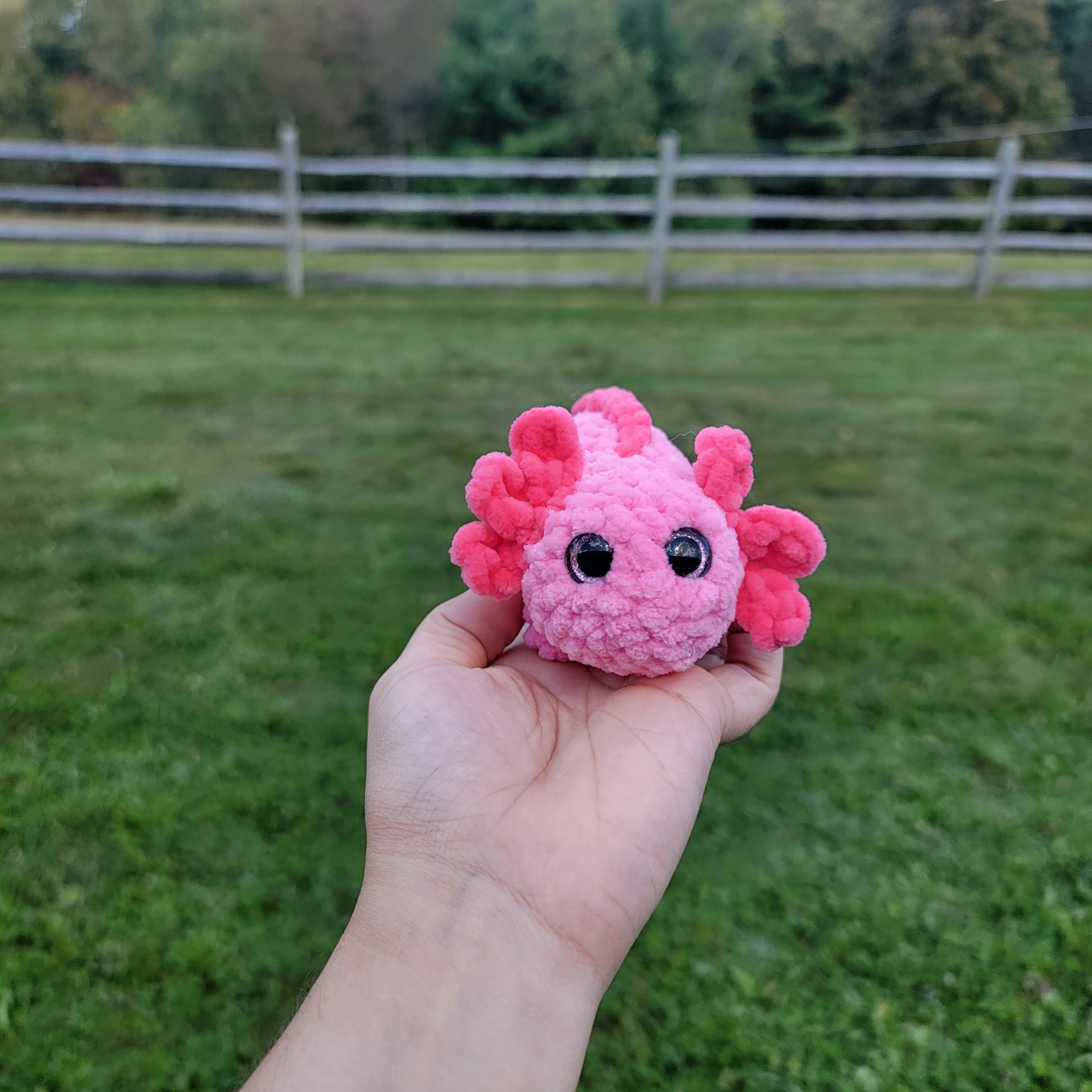 Mini axolotyl