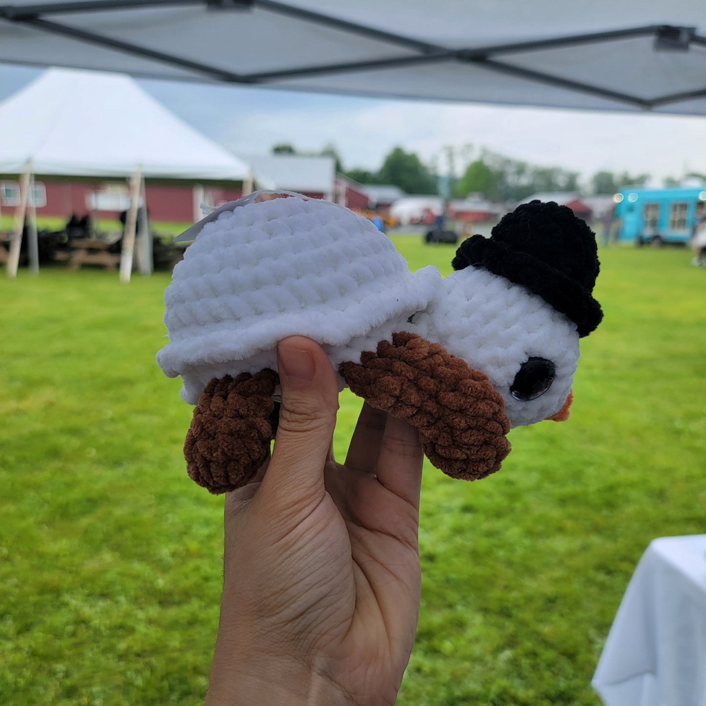 Snowman Turtle