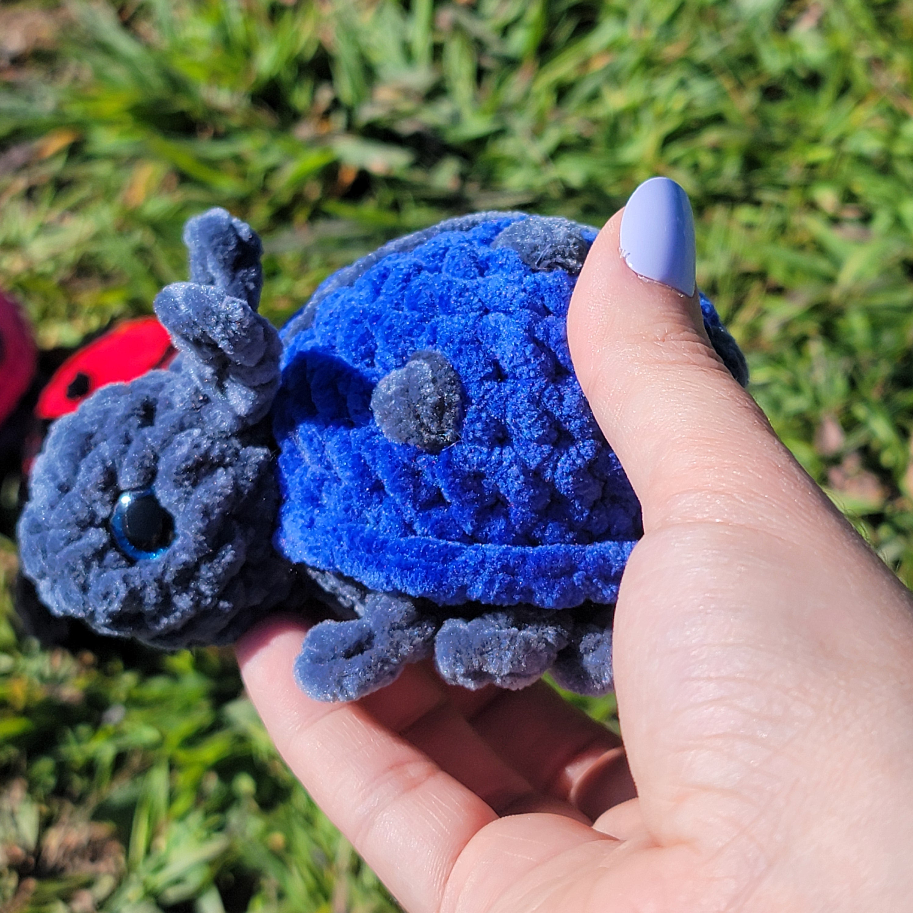 Ladybug