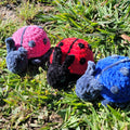 Ladybug