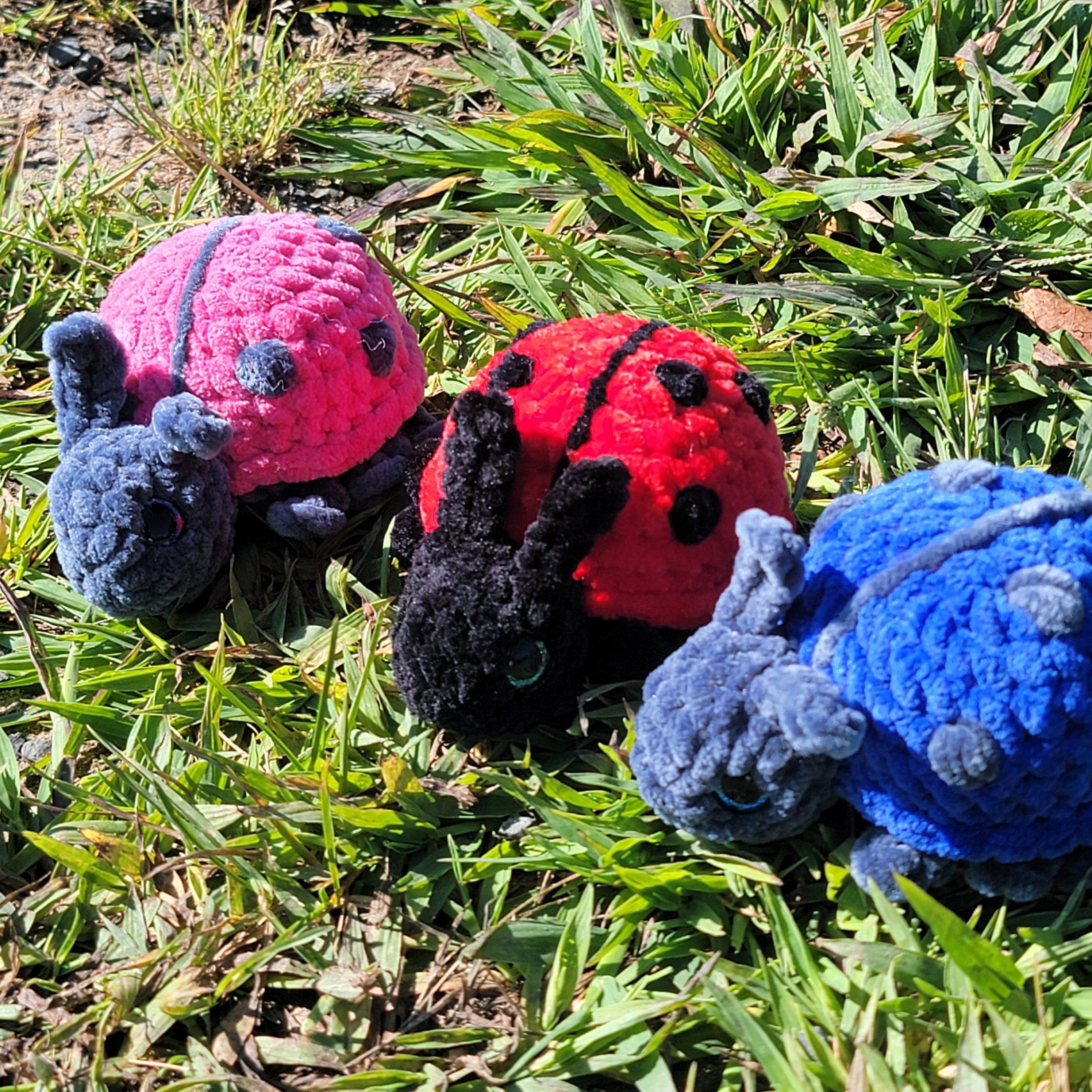 Ladybug