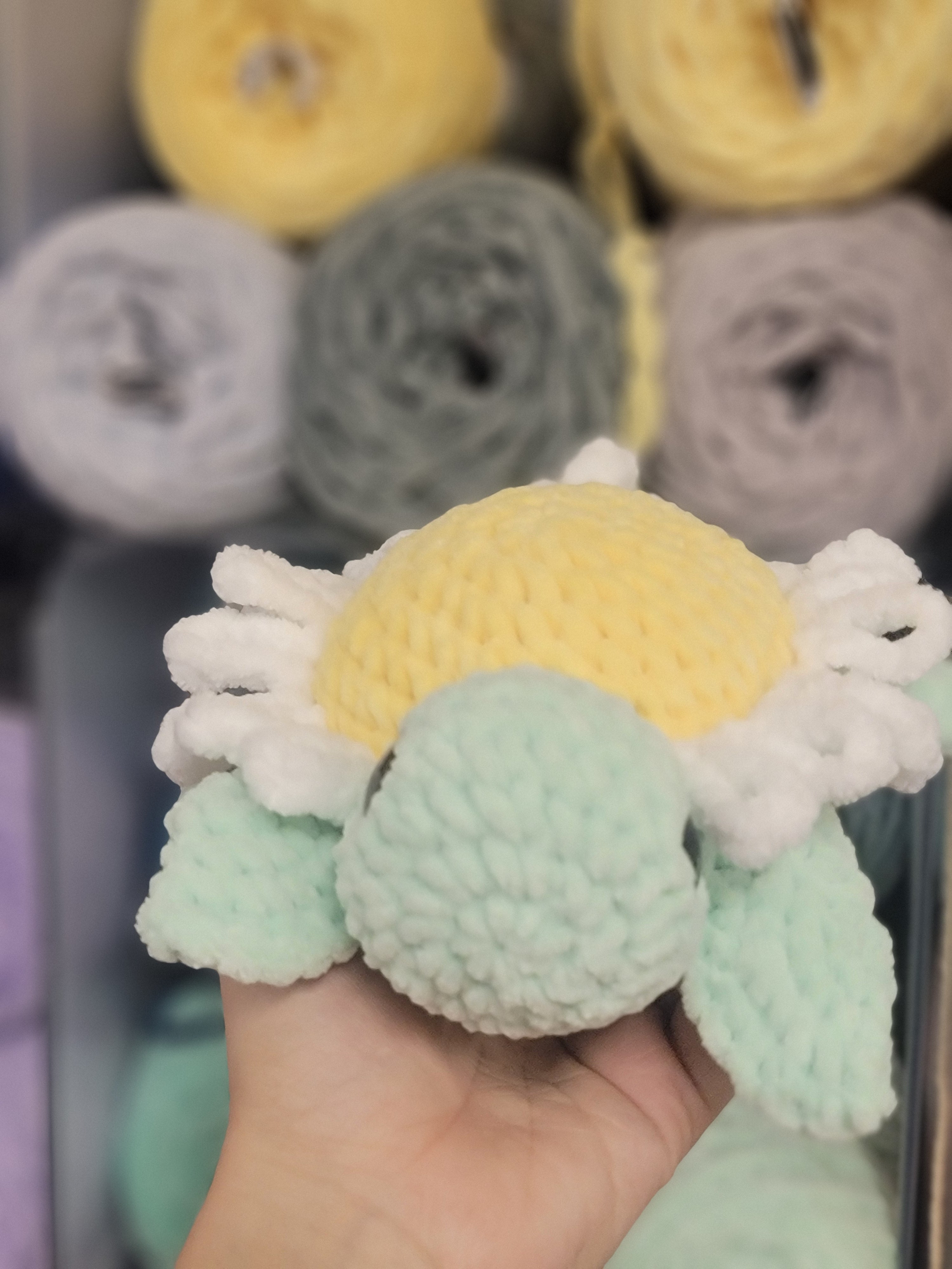 White Daisy Turtle