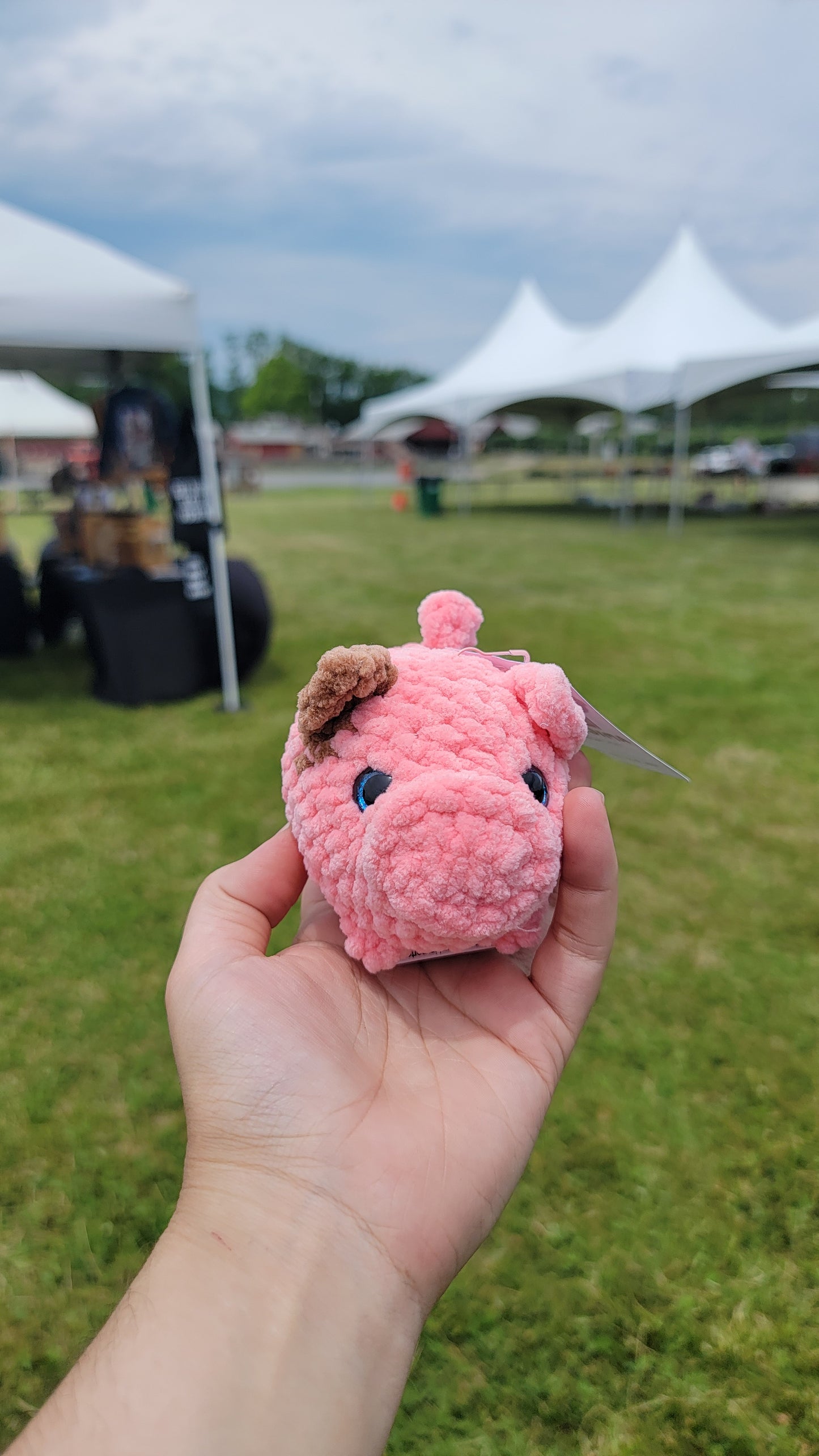 Pig