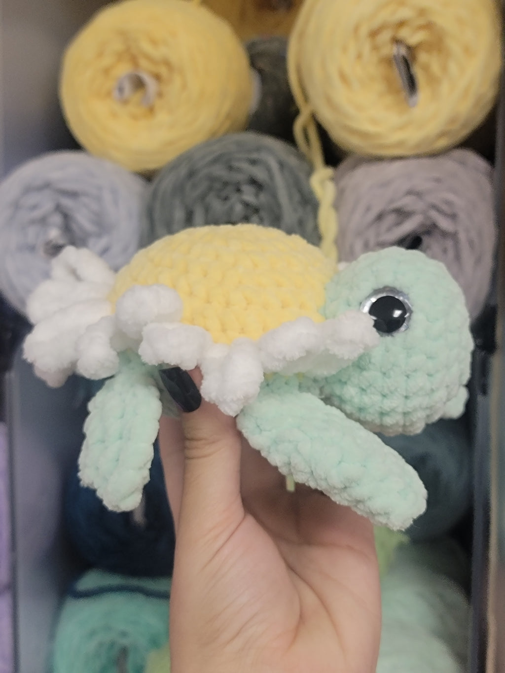 White Daisy Turtle