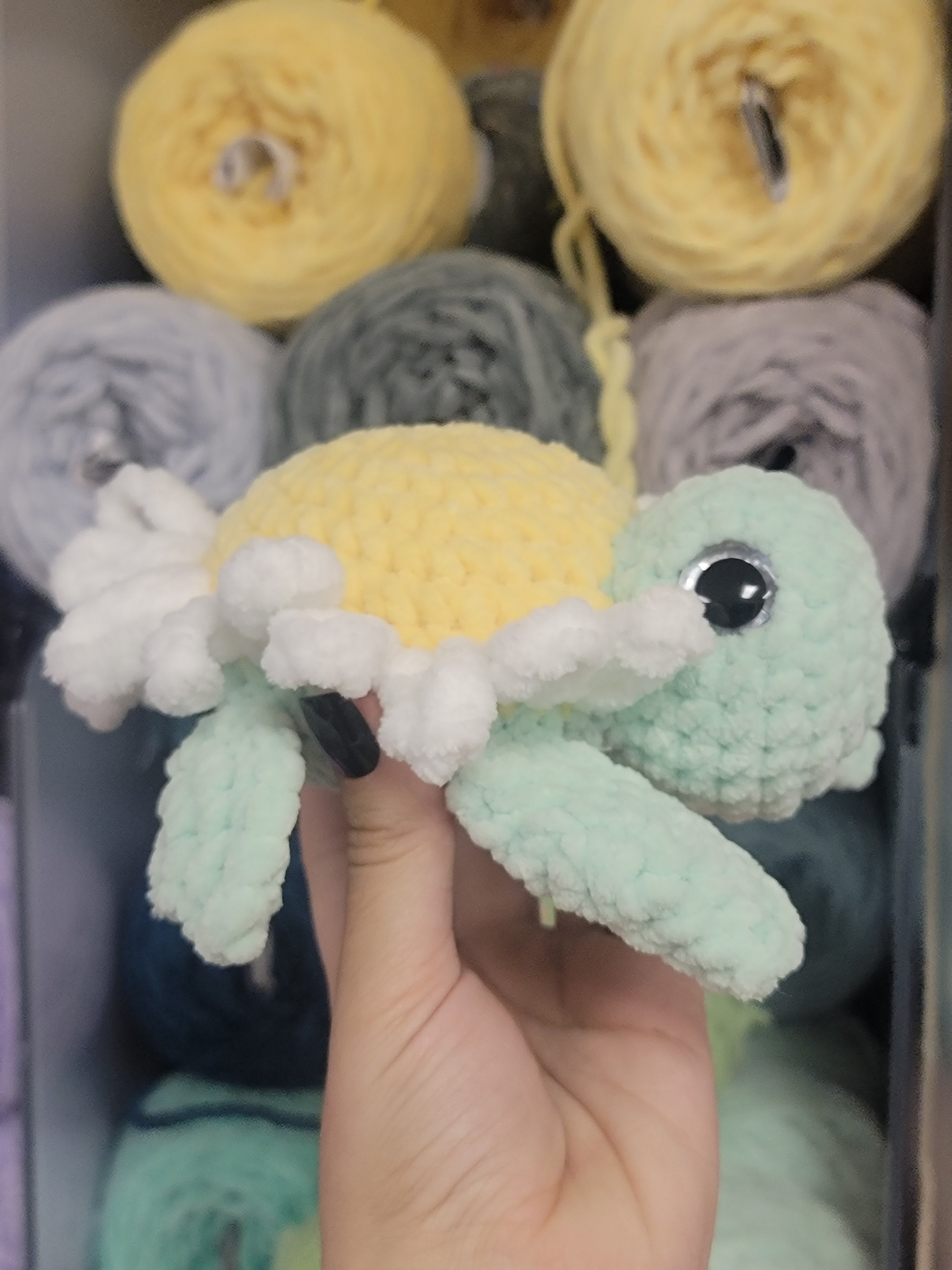 White Daisy Turtle