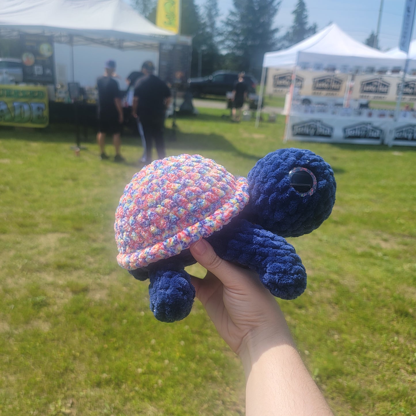 Large Turtle