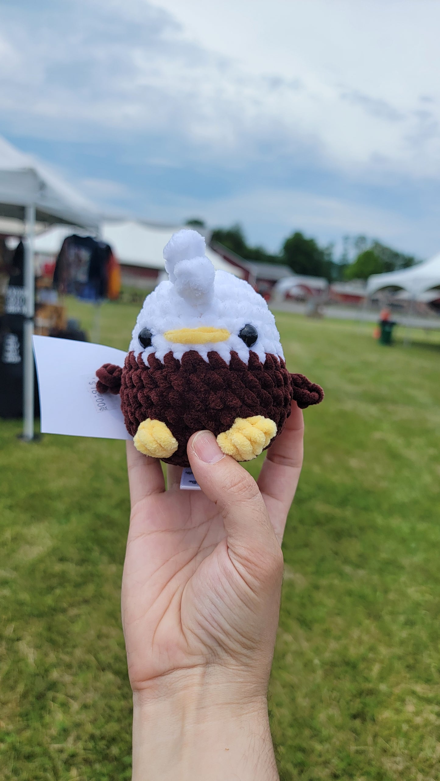 Bird friends