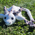 Custom Dragon