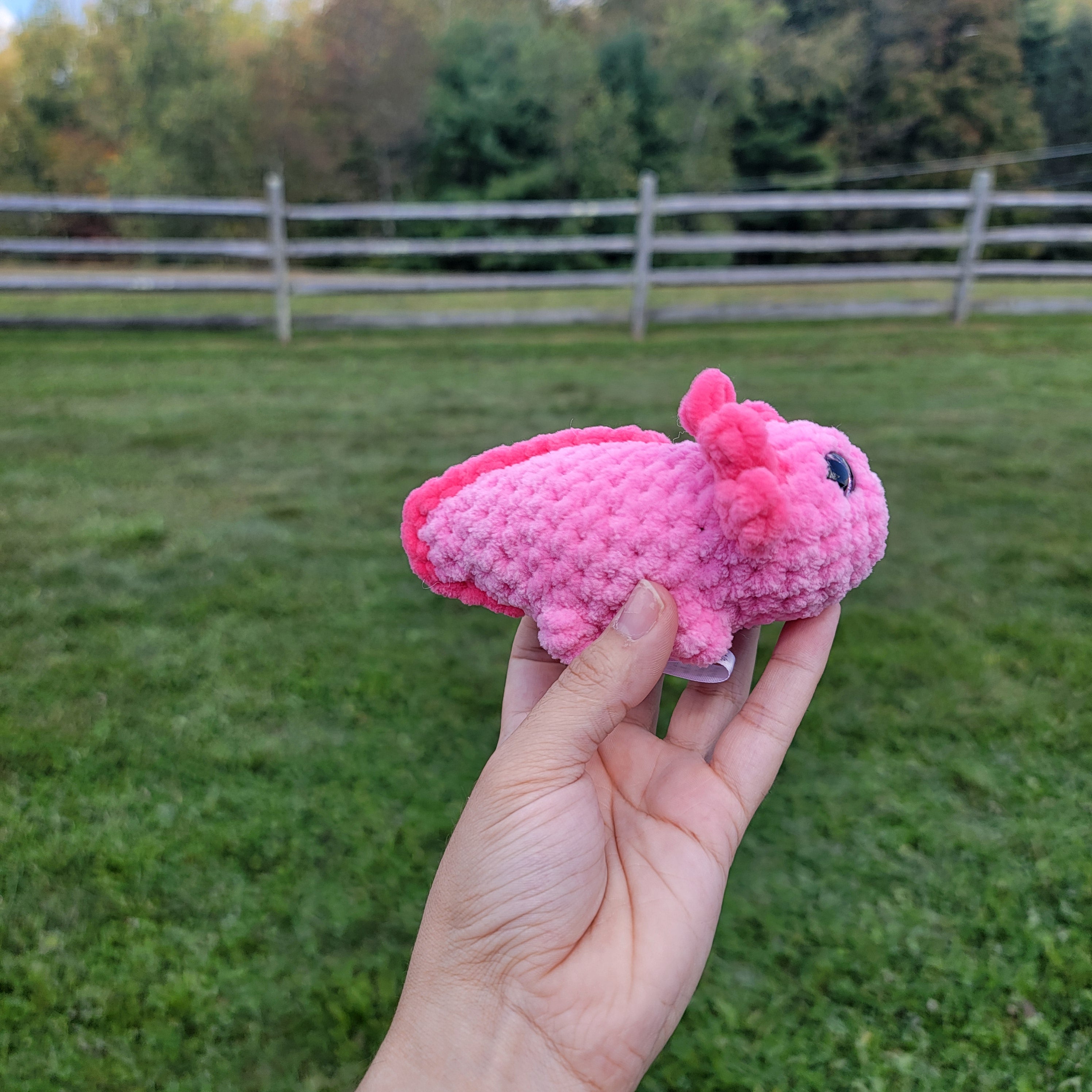 Mini axolotyl